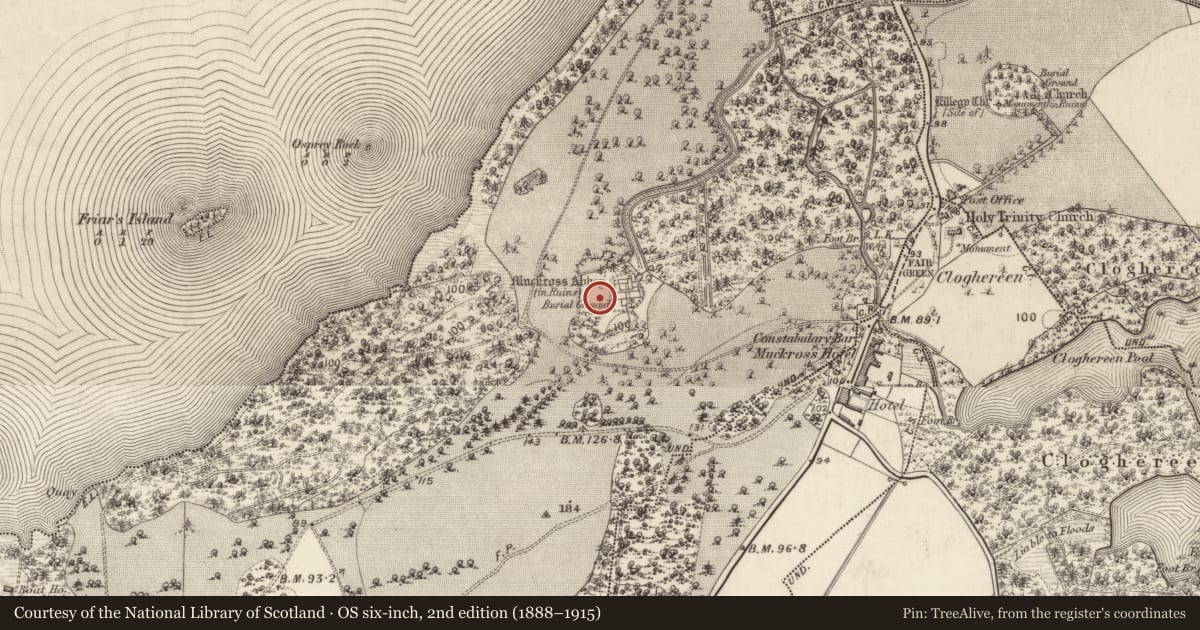 Ordnance Survey six-inch map, 2nd edition (1888–1915) covering the location of Graveyard, Muckross, County Kerry, with a pin at the register's coordinates