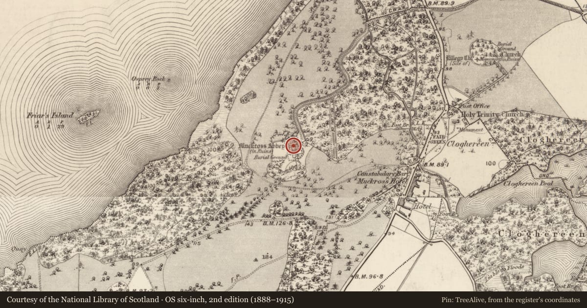 Ordnance Survey six-inch map, 2nd edition (1888–1915) covering the location of Graveslab, Muckross, County Kerry, with a pin at the register's coordinates