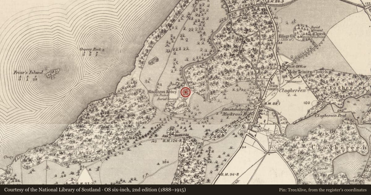 Ordnance Survey six-inch map, 2nd edition (1888–1915) covering the location of Wall monument, Muckross, County Kerry, with a pin at the register's coordinates