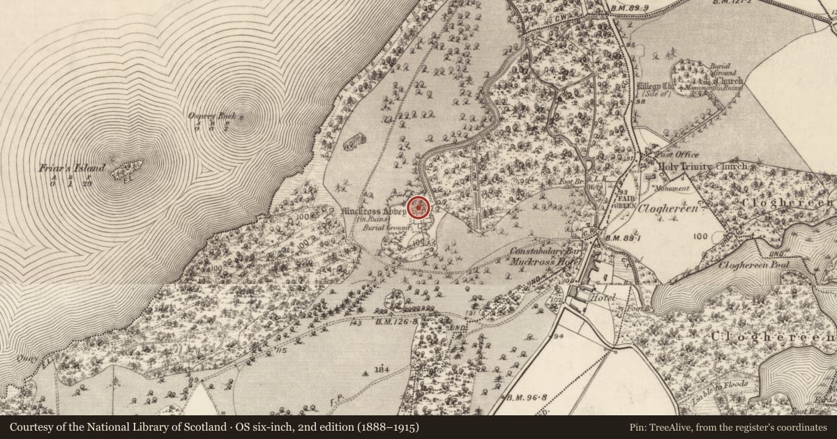 Ordnance Survey six-inch map, 2nd edition (1888–1915) covering the location of Ritual site - holy tree/bush, Muckross, County Kerry, with a pin at the register's coordinates