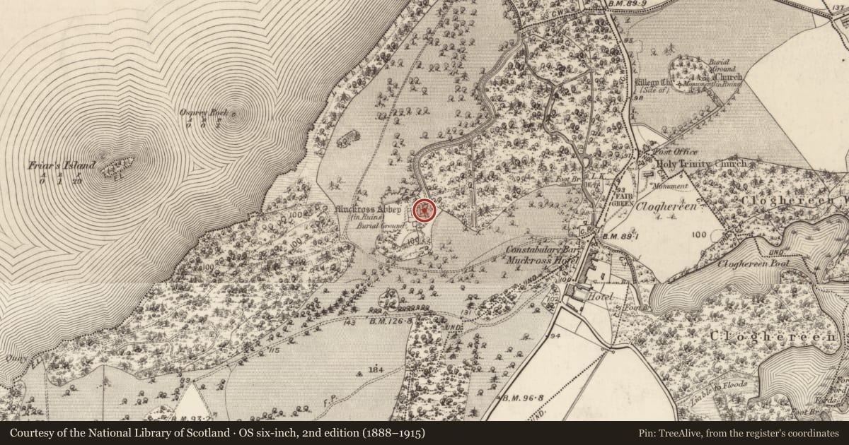 Ordnance Survey six-inch map, 2nd edition (1888–1915) covering the location of Memorial stone, Muckross, County Kerry, with a pin at the register's coordinates