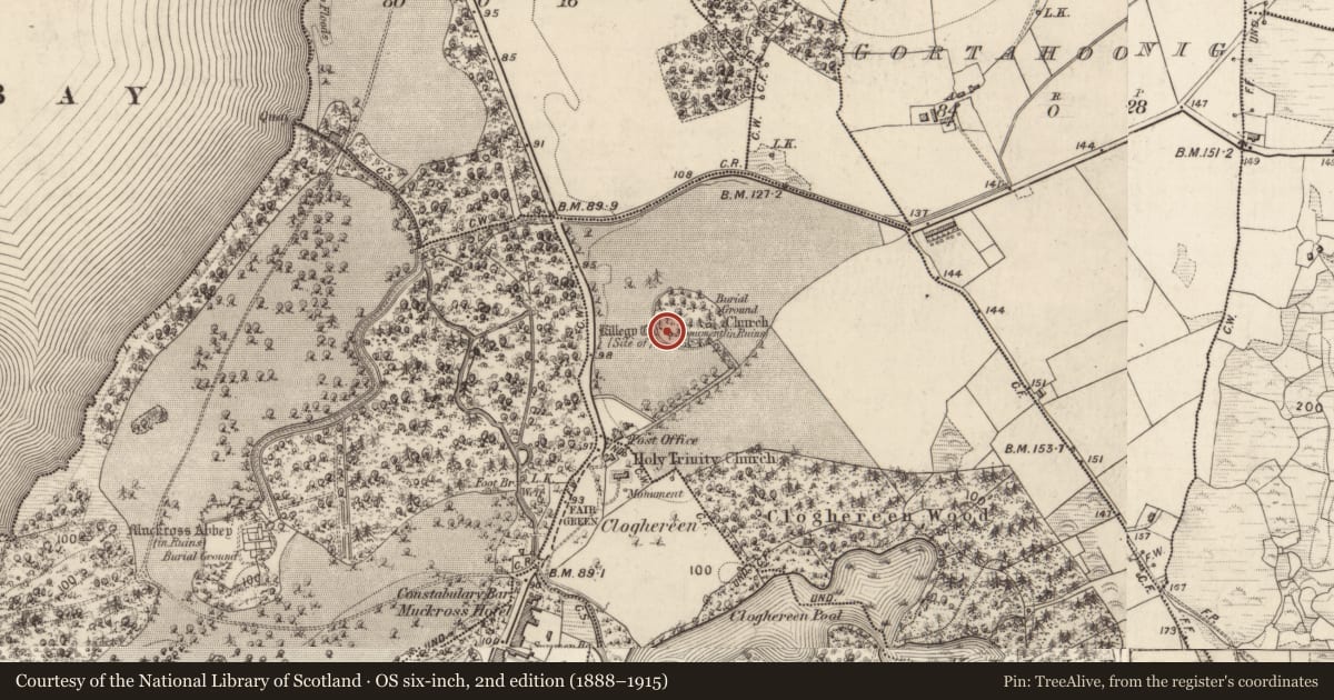 Ordnance Survey six-inch map, 2nd edition (1888–1915) covering the location of Church, Killegy Lower, County Kerry, with a pin at the register's coordinates