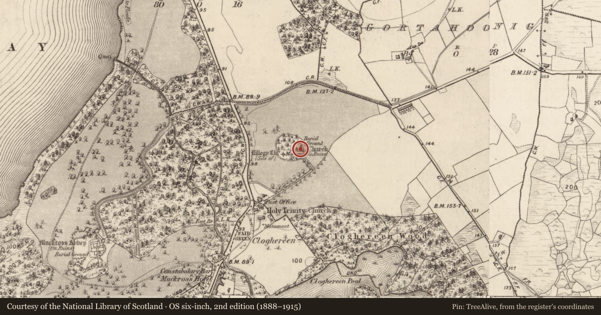 Ordnance Survey six-inch map, 2nd edition (1888–1915) covering the location of Church, Killegy Lower, County Kerry, with a pin at the register's coordinates