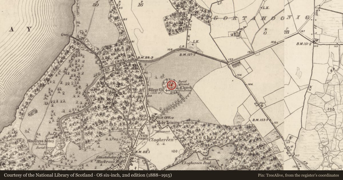 Ordnance Survey six-inch map, 2nd edition (1888–1915) covering the location of Graveyard, Killegy Lower, County Kerry, with a pin at the register's coordinates