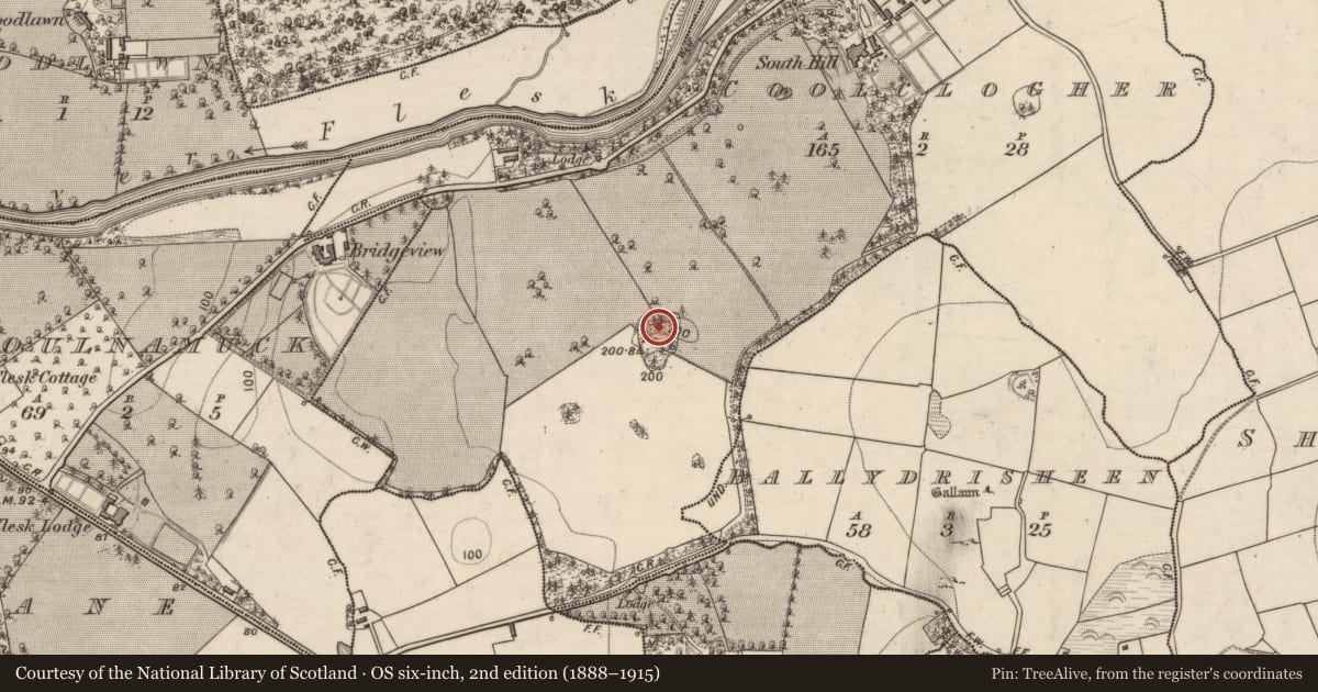 Ordnance Survey six-inch map, 2nd edition (1888–1915) covering the location of Ringfort - rath, Coolclogher, County Kerry, with a pin at the register's coordinates