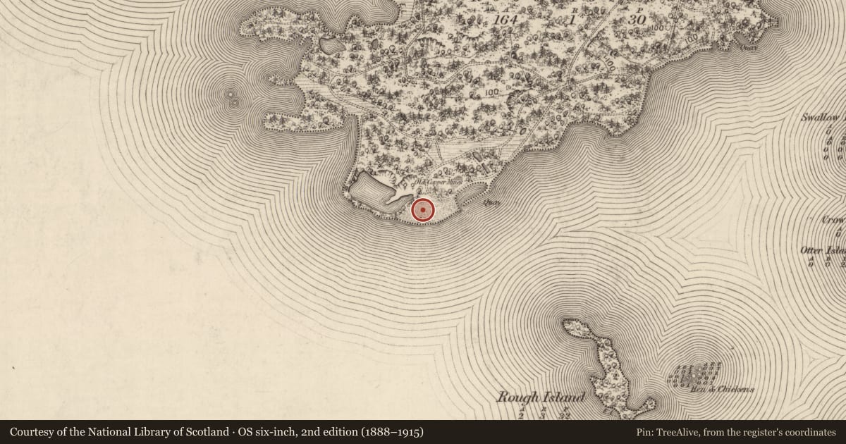 Ordnance Survey six-inch map, 2nd edition (1888–1915) covering the location of Mine - copper, Ross Island, County Kerry, with a pin at the register's coordinates