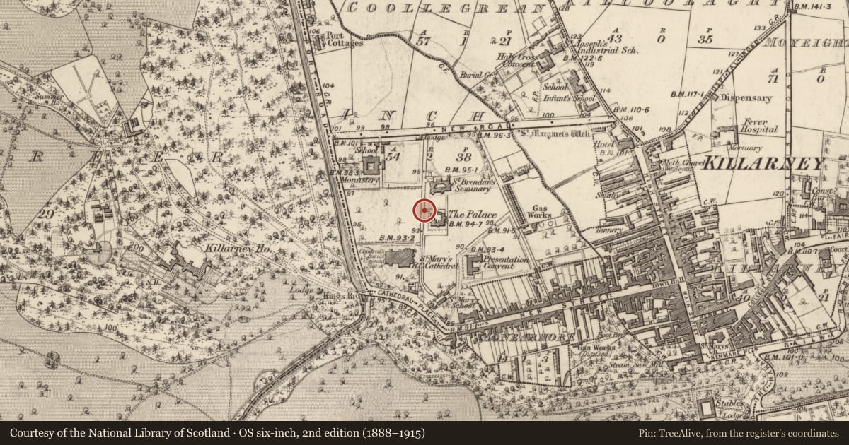 Ordnance Survey six-inch map, 2nd edition (1888–1915) covering the location of Ogham stone (present location), Inch, County Kerry, with a pin at the register's coordinates