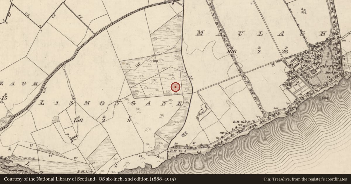 Ordnance Survey six-inch map, 2nd edition (1888–1915) covering the location of Ringfort - rath, Lismongane, County Kerry, with a pin at the register's coordinates