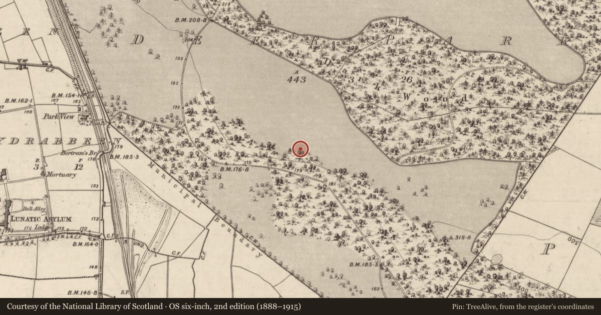 Ordnance Survey six-inch map, 2nd edition (1888–1915) covering the location of Enclosure, Deerpark, County Kerry, with a pin at the register's coordinates