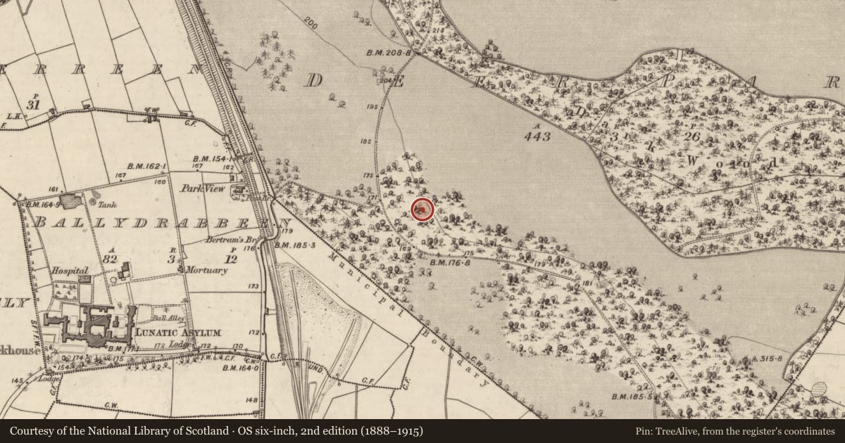 Ordnance Survey six-inch map, 2nd edition (1888–1915) covering the location of Field boundary, Deerpark, County Kerry, with a pin at the register's coordinates