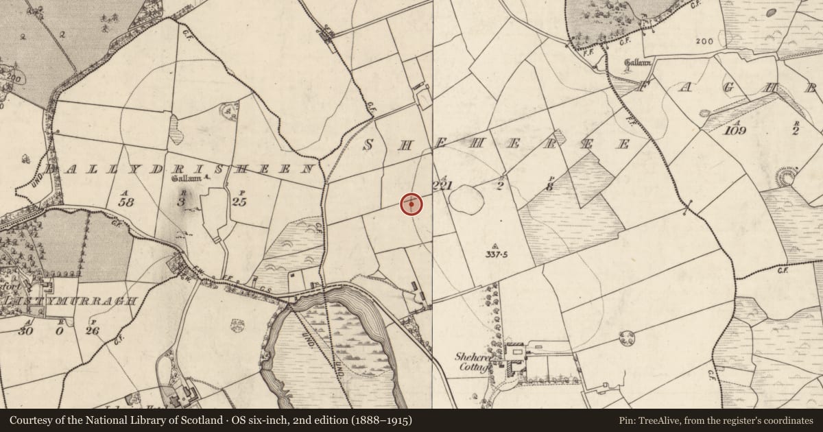 Ordnance Survey six-inch map, 2nd edition (1888–1915) covering the location of Field boundary, Sheheree, County Kerry, with a pin at the register's coordinates