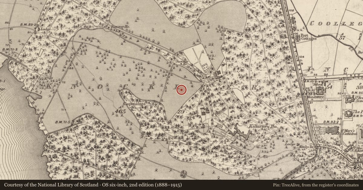 Ordnance Survey six-inch map, 2nd edition (1888–1915) covering the location of Enclosure, Knockreer, County Kerry, with a pin at the register's coordinates