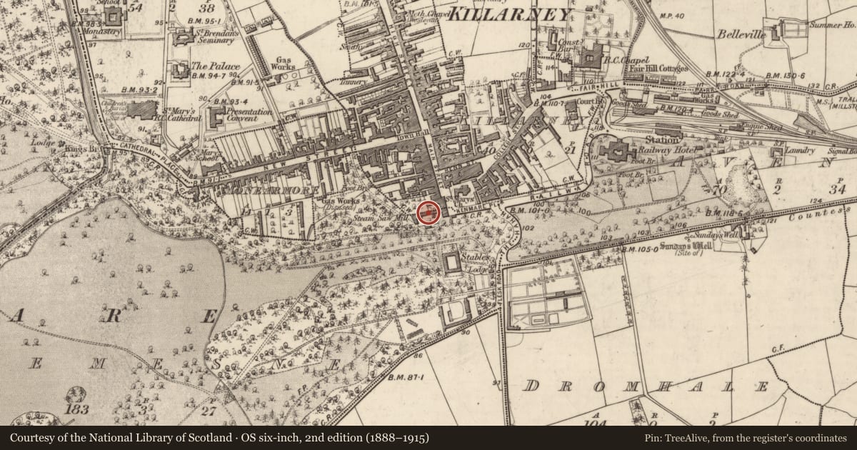 Ordnance Survey six-inch map, 2nd edition (1888–1915) covering the location of Ritual site - holy well, Killarney, County Kerry, with a pin at the register's coordinates