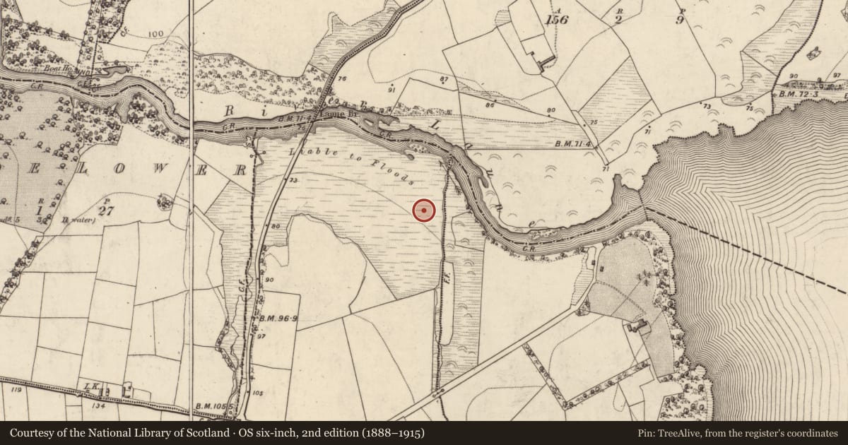 Ordnance Survey six-inch map, 2nd edition (1888–1915) covering the location of Fulacht fia, Tomies West, County Kerry, with a pin at the register's coordinates