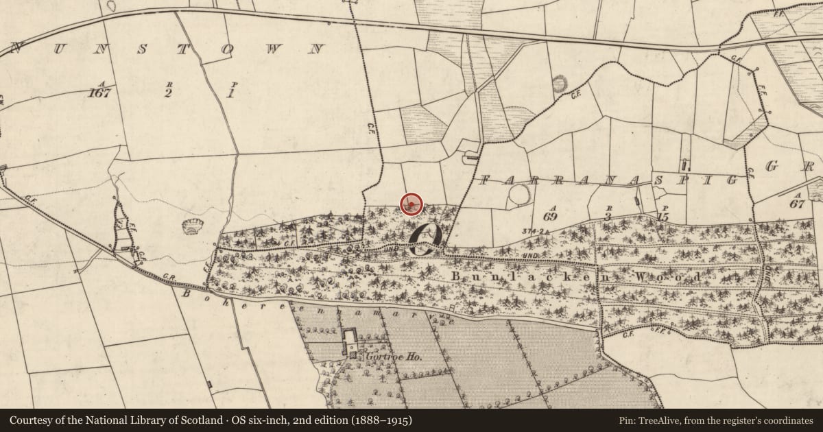 Ordnance Survey six-inch map, 2nd edition (1888–1915) covering the location of Burnt spread, Caher, County Kerry, with a pin at the register's coordinates