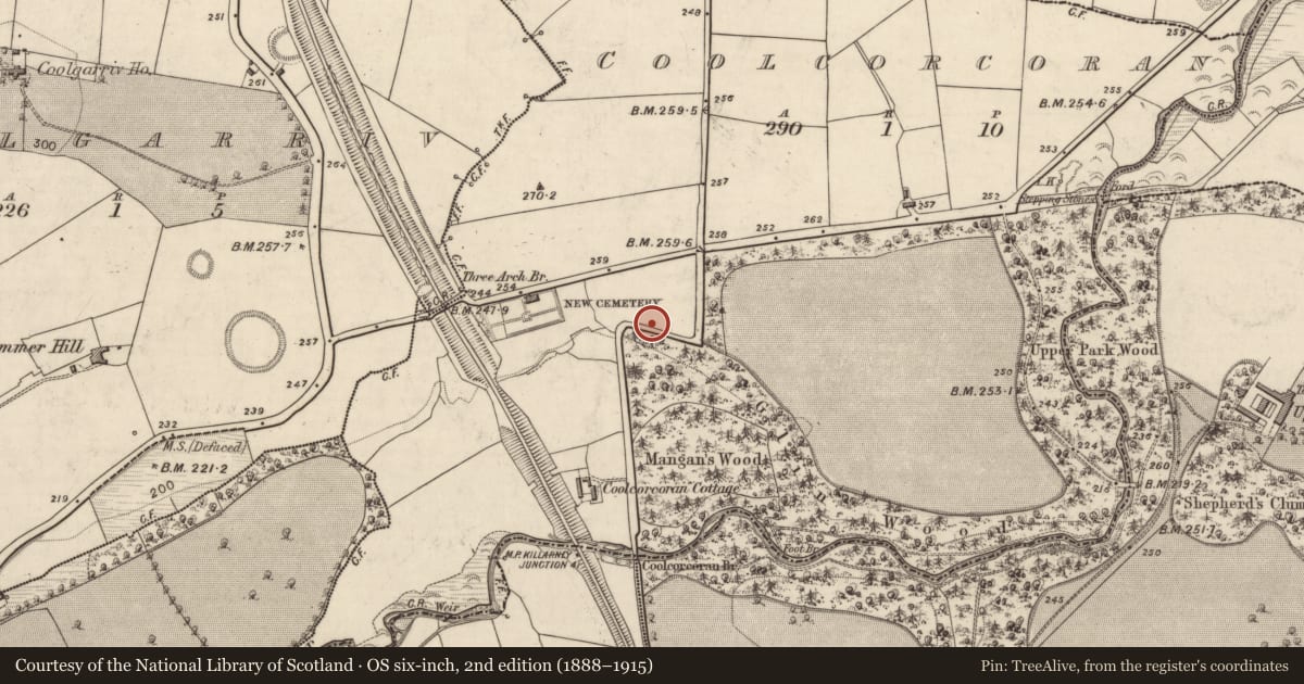 Ordnance Survey six-inch map, 2nd edition (1888–1915) covering the location of Ringfort - rath, Coolcorcoran, County Kerry, with a pin at the register's coordinates