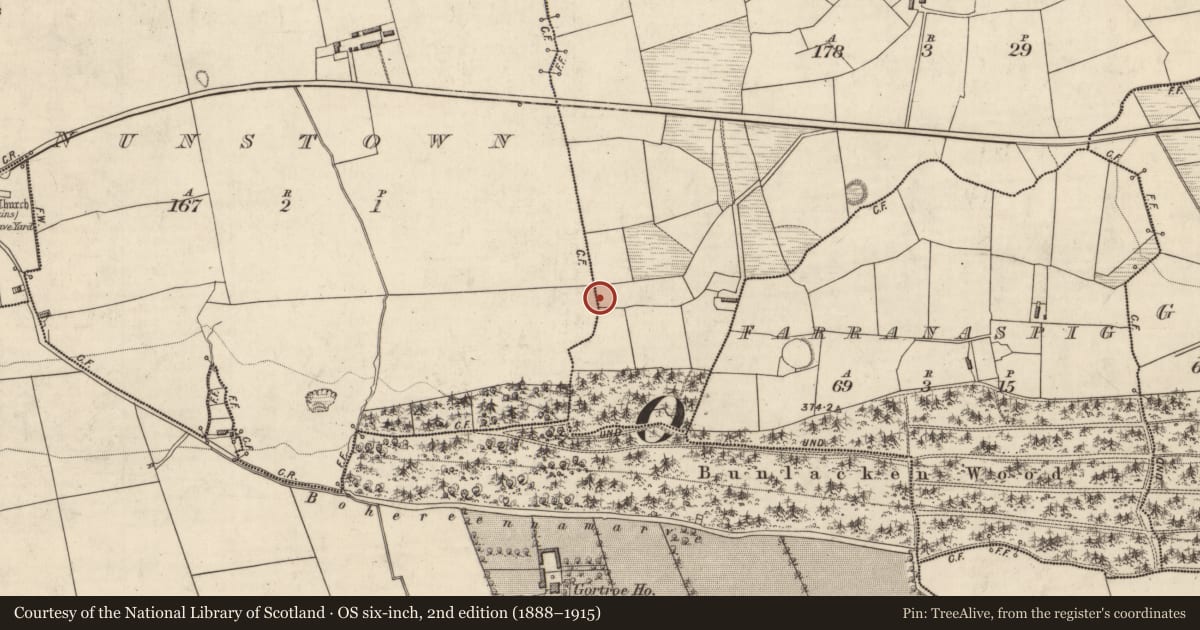 Ordnance Survey six-inch map, 2nd edition (1888–1915) covering the location of Souterrain, Caher, County Kerry, with a pin at the register's coordinates