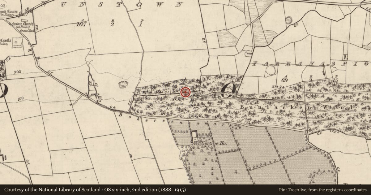 Ordnance Survey six-inch map, 2nd edition (1888–1915) covering the location of Fulacht fia, Nunstown, County Kerry, with a pin at the register's coordinates