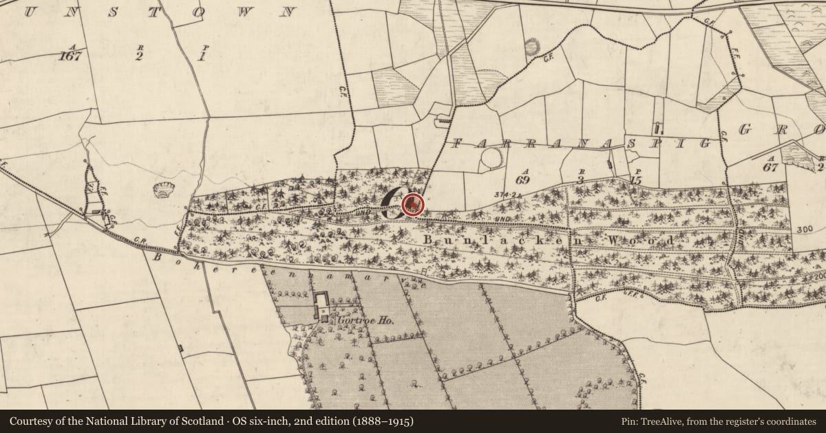 Ordnance Survey six-inch map, 2nd edition (1888–1915) covering the location of Fulacht fia, Caher, County Kerry, with a pin at the register's coordinates