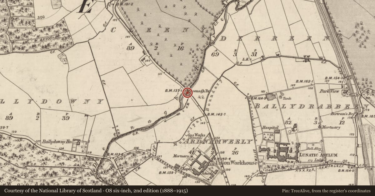Ordnance Survey six-inch map, 2nd edition (1888–1915) covering the location of Bridge, Cleeny, Derreen, County Kerry, with a pin at the register's coordinates