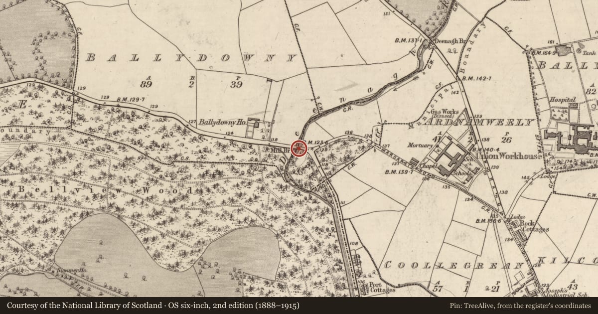 Ordnance Survey six-inch map, 2nd edition (1888–1915) covering the location of Bridge, Ballydowny, Derreen, County Kerry, with a pin at the register's coordinates