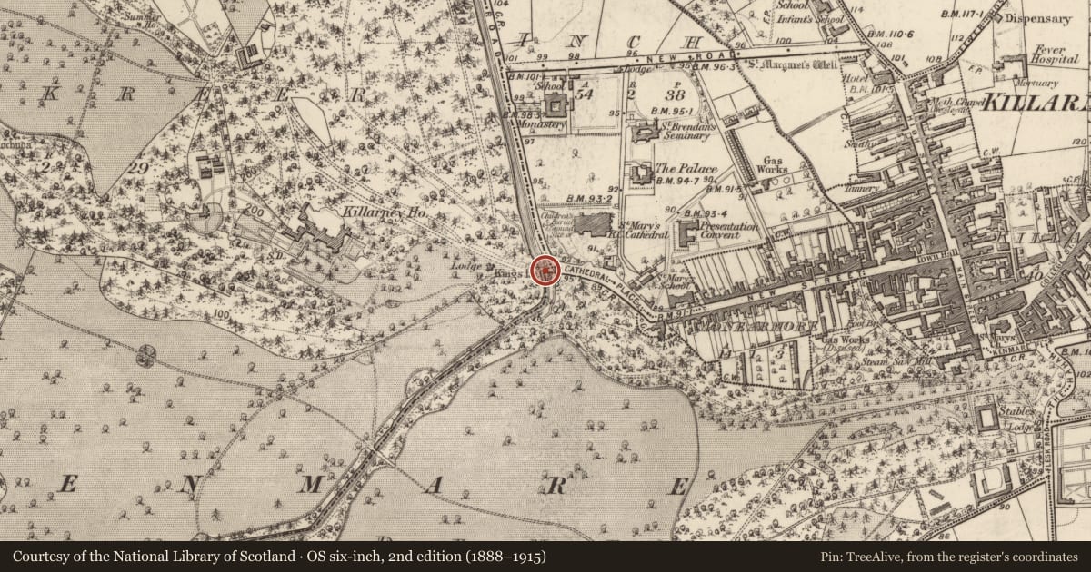 Ordnance Survey six-inch map, 2nd edition (1888–1915) covering the location of Bridge, County Kerry, with a pin at the register's coordinates