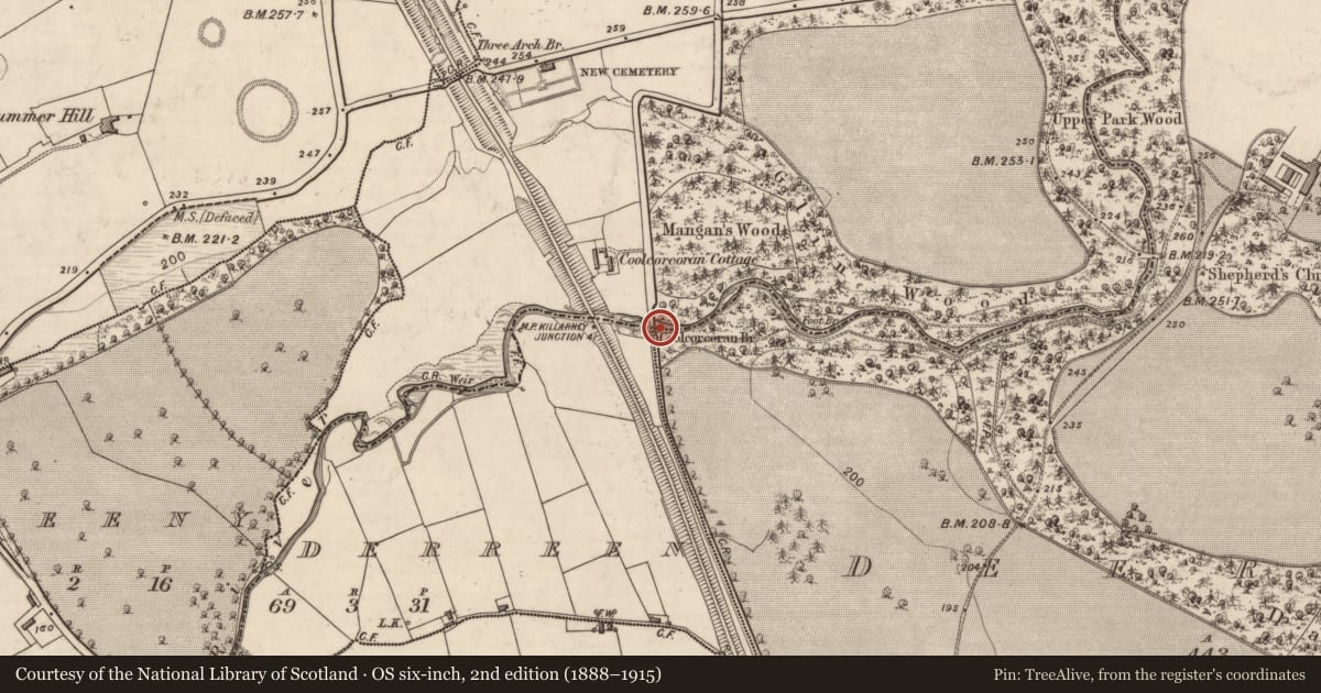 Ordnance Survey six-inch map, 2nd edition (1888–1915) covering the location of Bridge, Coolcorcoran, County Kerry, with a pin at the register's coordinates