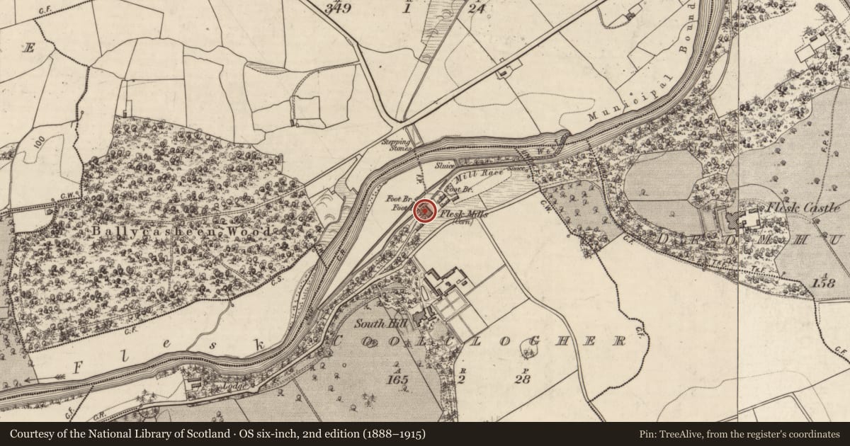 Ordnance Survey six-inch map, 2nd edition (1888–1915) covering the location of Mill - unclassified, Coolclogher, County Kerry, with a pin at the register's coordinates