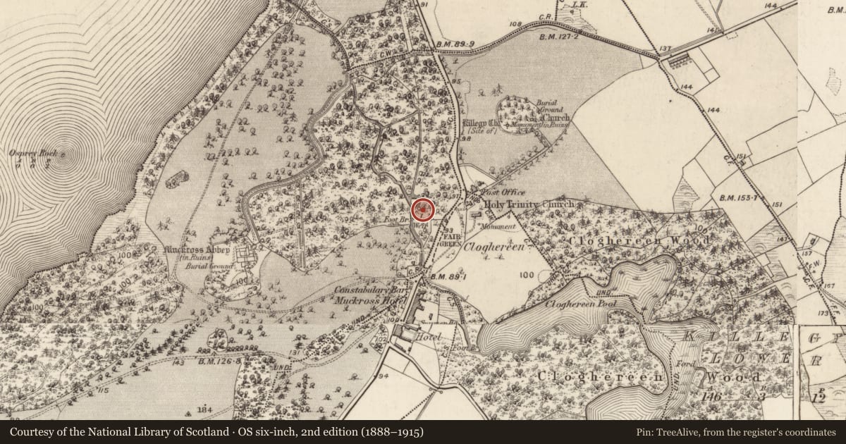 Ordnance Survey six-inch map, 2nd edition (1888–1915) covering the location of Metalworking site, Muckross, County Kerry, with a pin at the register's coordinates