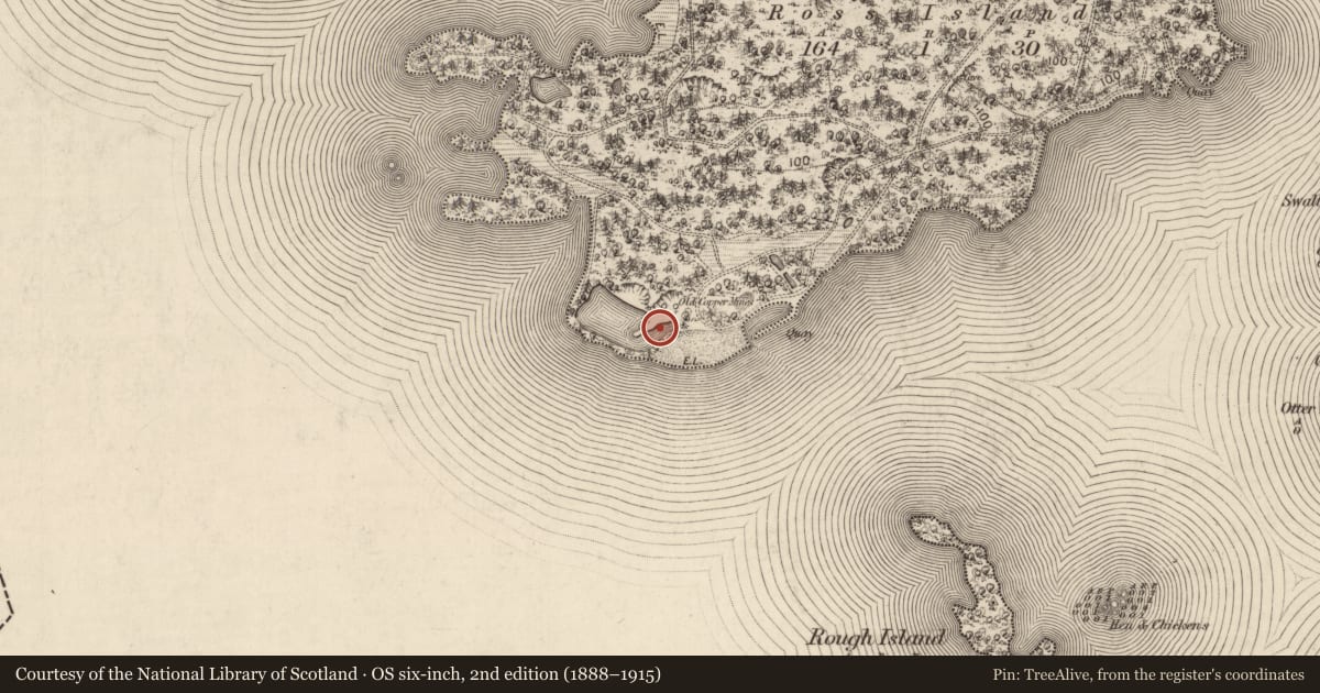 Ordnance Survey six-inch map, 2nd edition (1888–1915) covering the location of Mine - copper, Ross Island, County Kerry, with a pin at the register's coordinates