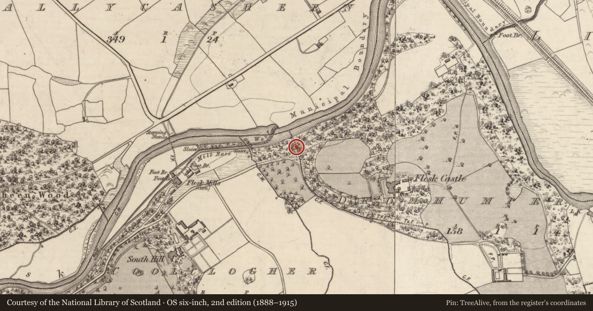 Ordnance Survey six-inch map, 2nd edition (1888–1915) covering the location of Gate lodge, Dromhumper, County Kerry, with a pin at the register's coordinates