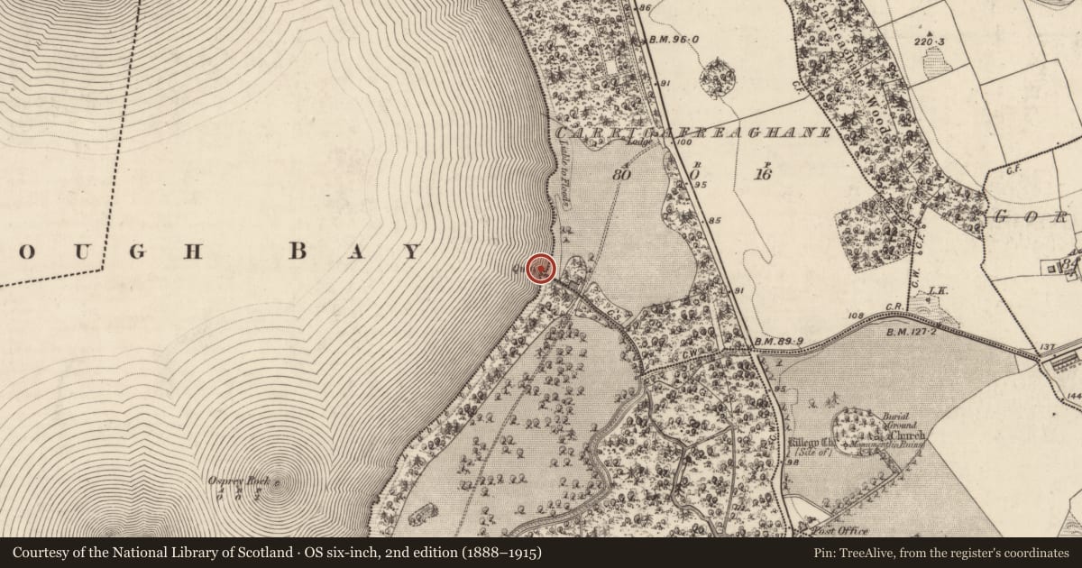 Ordnance Survey six-inch map, 2nd edition (1888–1915) covering the location of Quay, Carrigafreaghane, County Kerry, with a pin at the register's coordinates