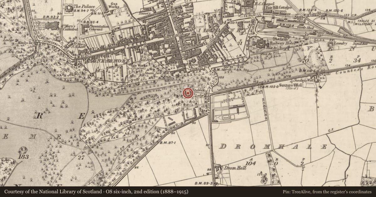 Ordnance Survey six-inch map, 2nd edition (1888–1915) covering the location of Country house, Demesne, County Kerry, with a pin at the register's coordinates