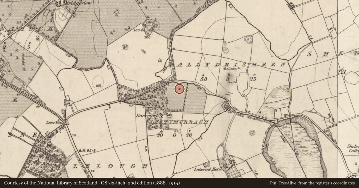 Ordnance Survey six-inch map, 2nd edition (1888–1915) covering the location of Standing stone, Listymurragh, County Kerry, with a pin at the register's coordinates