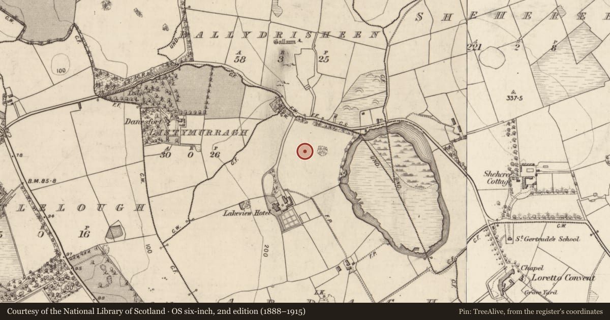 Ordnance Survey six-inch map, 2nd edition (1888–1915) covering the location of Excavation - miscellaneous, Ardagh, County Kerry, with a pin at the register's coordinates