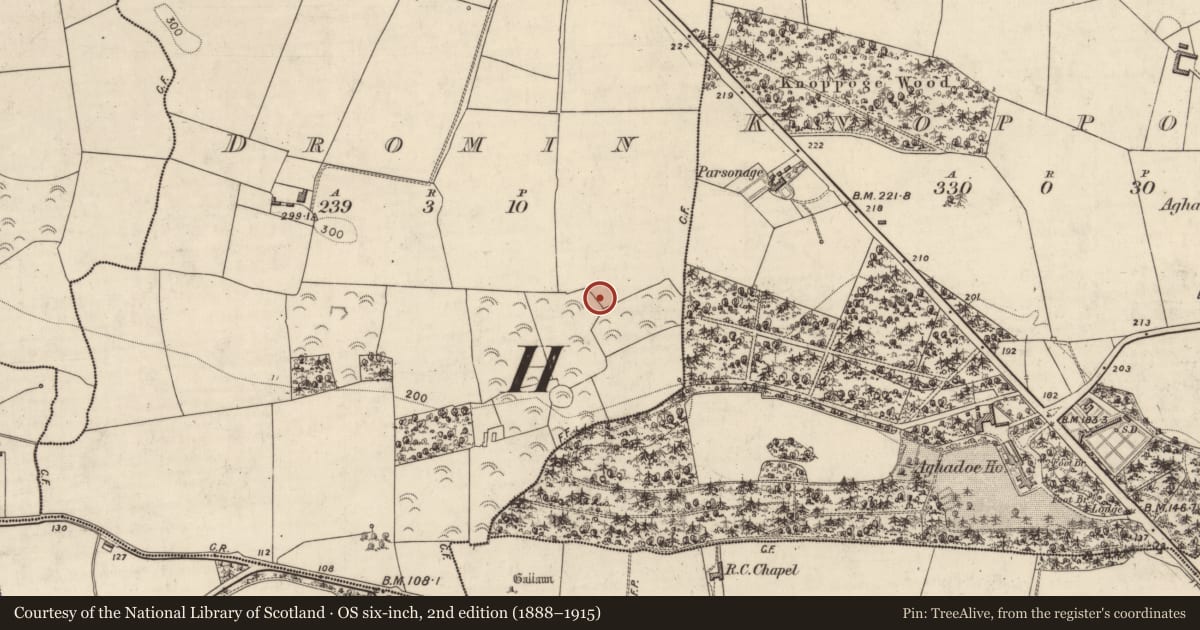 Ordnance Survey six-inch map, 2nd edition (1888–1915) covering the location of Enclosure, Dromin, County Kerry, with a pin at the register's coordinates