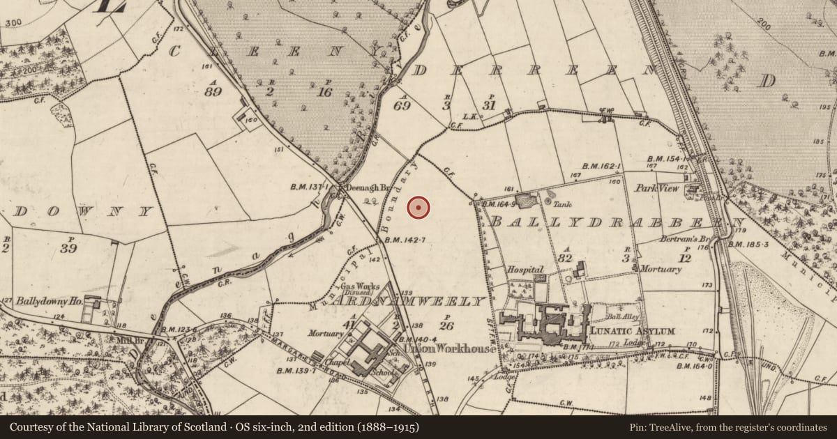 Ordnance Survey six-inch map, 2nd edition (1888–1915) covering the location of Ring-ditch, Ardnamweely, County Kerry, with a pin at the register's coordinates