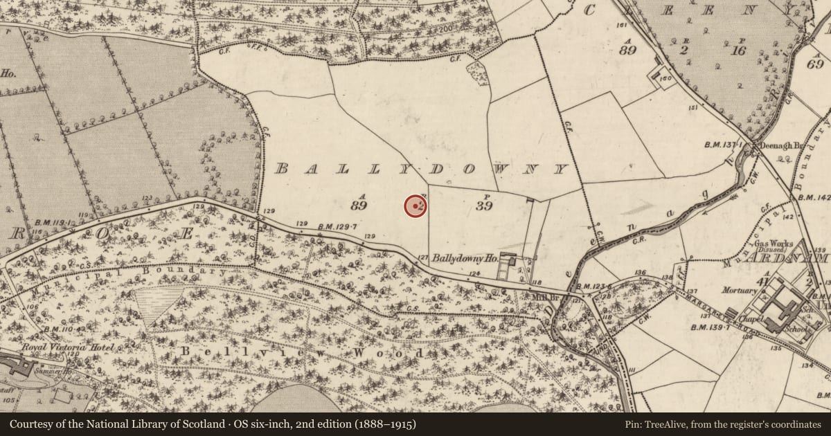 Ordnance Survey six-inch map, 2nd edition (1888–1915) covering the location of Fulacht fia, Ballydowny, County Kerry, with a pin at the register's coordinates