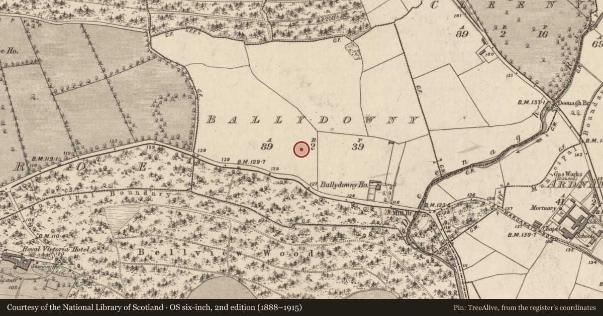 Ordnance Survey six-inch map, 2nd edition (1888–1915) covering the location of Fulacht fia, Ballydowny, County Kerry, with a pin at the register's coordinates