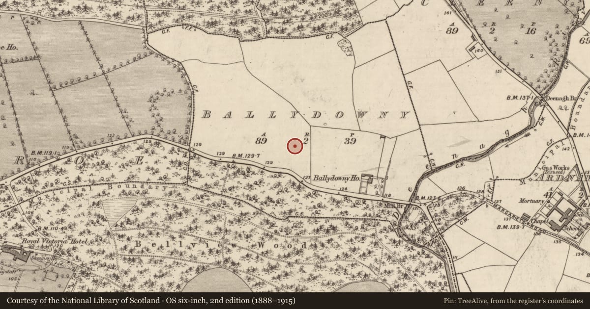 Ordnance Survey six-inch map, 2nd edition (1888–1915) covering the location of Fulacht fia, Ballydowny, County Kerry, with a pin at the register's coordinates