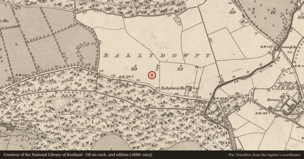Ordnance Survey six-inch map, 2nd edition (1888–1915) covering the location of Fulacht fia, Ballydowny, County Kerry, with a pin at the register's coordinates