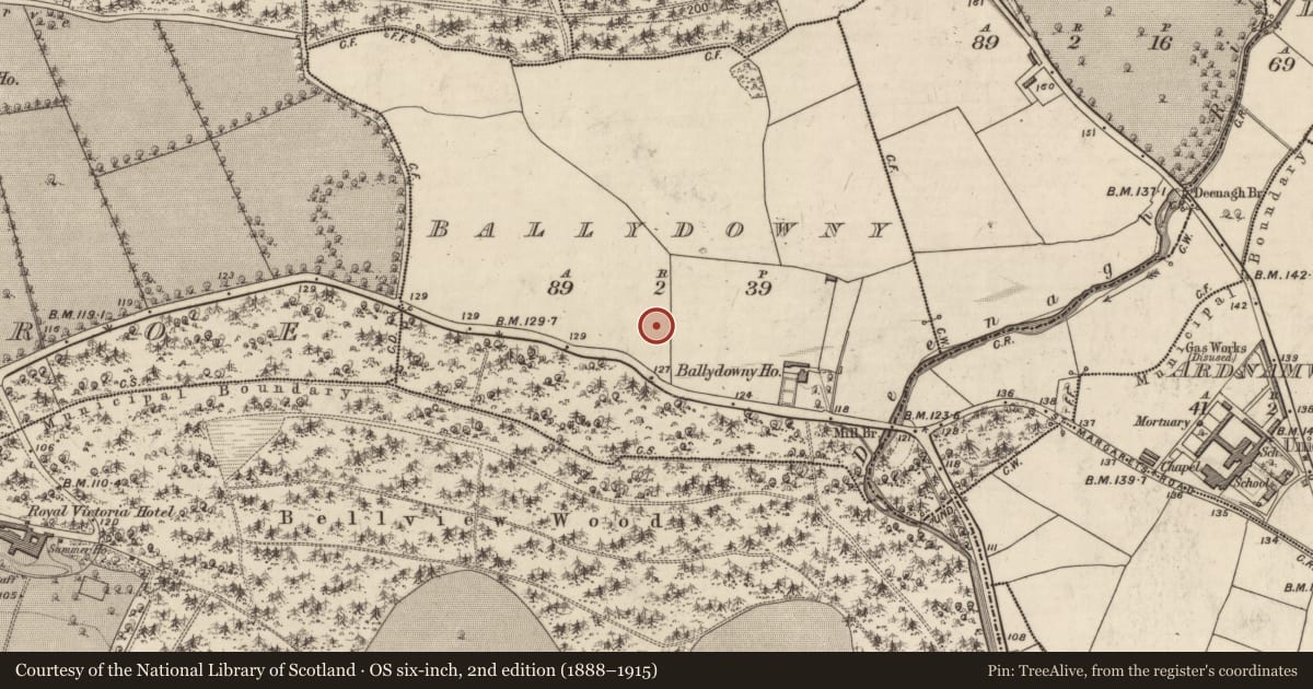 Ordnance Survey six-inch map, 2nd edition (1888–1915) covering the location of Fulacht fia, Ballydowny, County Kerry, with a pin at the register's coordinates