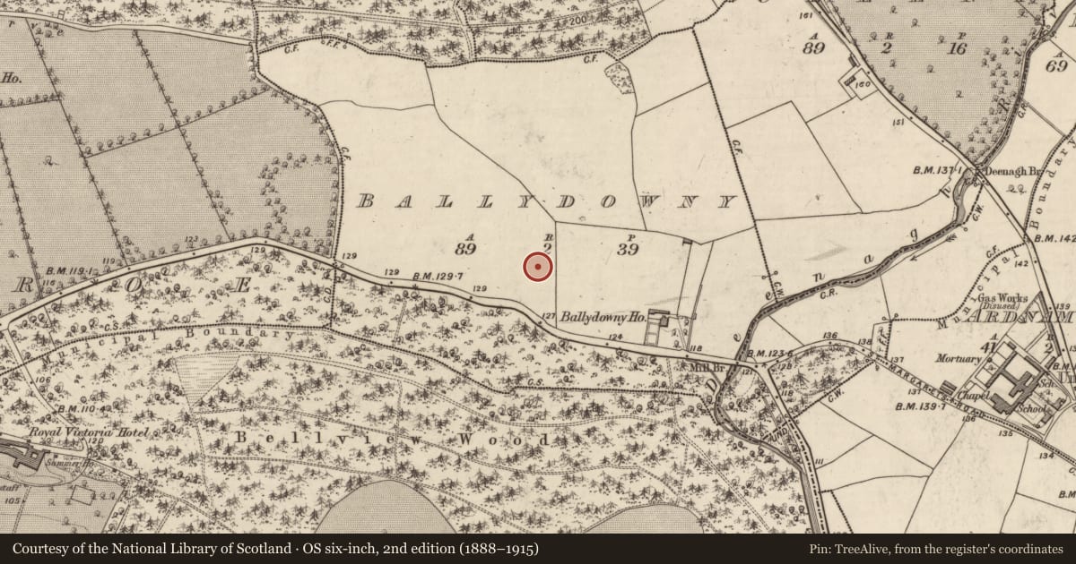 Ordnance Survey six-inch map, 2nd edition (1888–1915) covering the location of Excavation - miscellaneous, Ballydowny, County Kerry, with a pin at the register's coordinates
