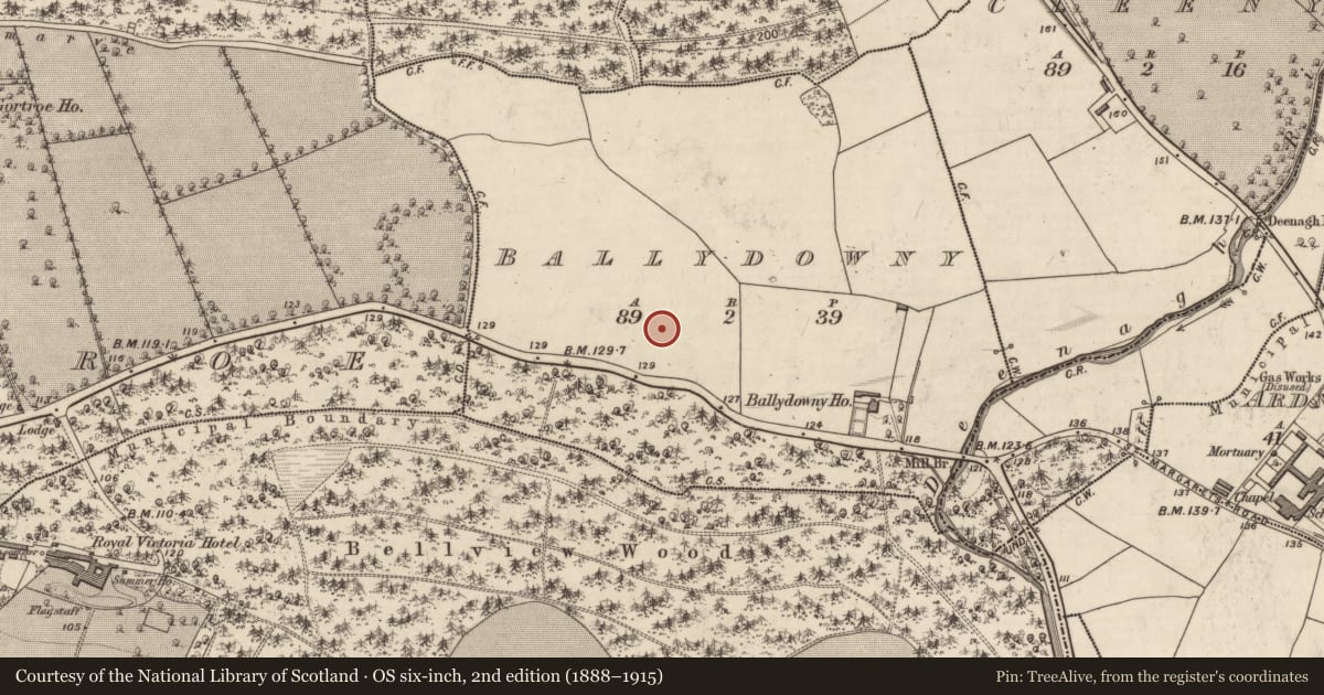 Ordnance Survey six-inch map, 2nd edition (1888–1915) covering the location of Barrow - ditch barrow, Ballydowny, County Kerry, with a pin at the register's coordinates