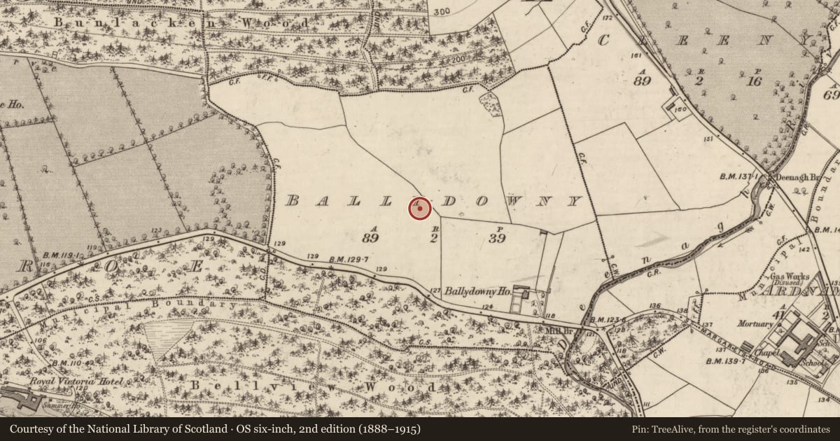 Ordnance Survey six-inch map, 2nd edition (1888–1915) covering the location of Metalworking site, Ballydowny, County Kerry, with a pin at the register's coordinates
