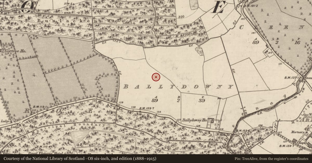 Ordnance Survey six-inch map, 2nd edition (1888–1915) covering the location of Furnace, Ballydowny, County Kerry, with a pin at the register's coordinates