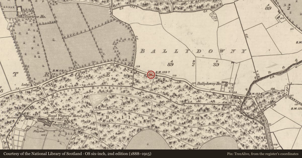 Ordnance Survey six-inch map, 2nd edition (1888–1915) covering the location of Habitation site, Ballydowny, County Kerry, with a pin at the register's coordinates