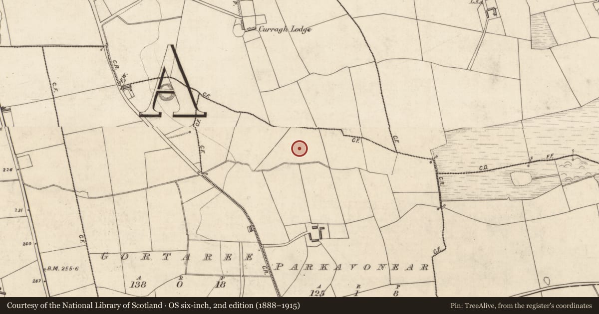Ordnance Survey six-inch map, 2nd edition (1888–1915) covering the location of Enclosure, Parkavonear, County Kerry, with a pin at the register's coordinates
