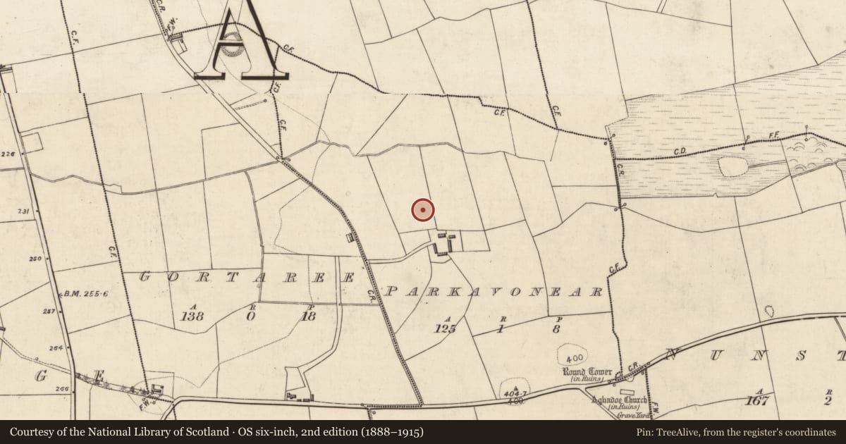 Ordnance Survey six-inch map, 2nd edition (1888–1915) covering the location of Enclosure, Parkavonear, County Kerry, with a pin at the register's coordinates