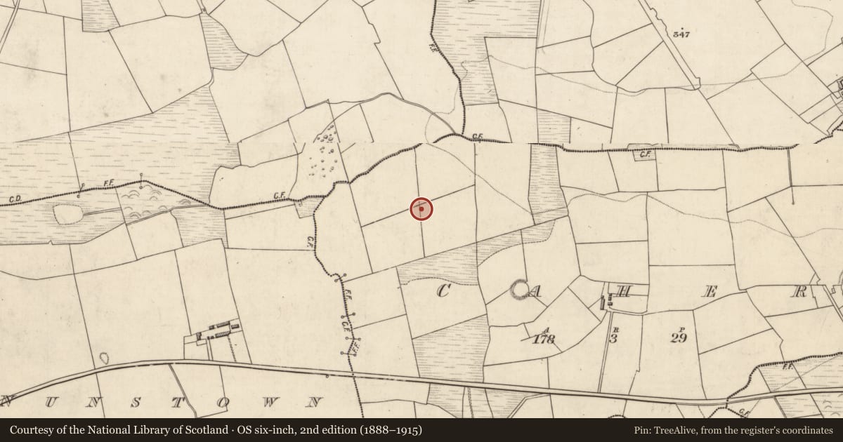 Ordnance Survey six-inch map, 2nd edition (1888–1915) covering the location of Fulacht fia, Caher, County Kerry, with a pin at the register's coordinates